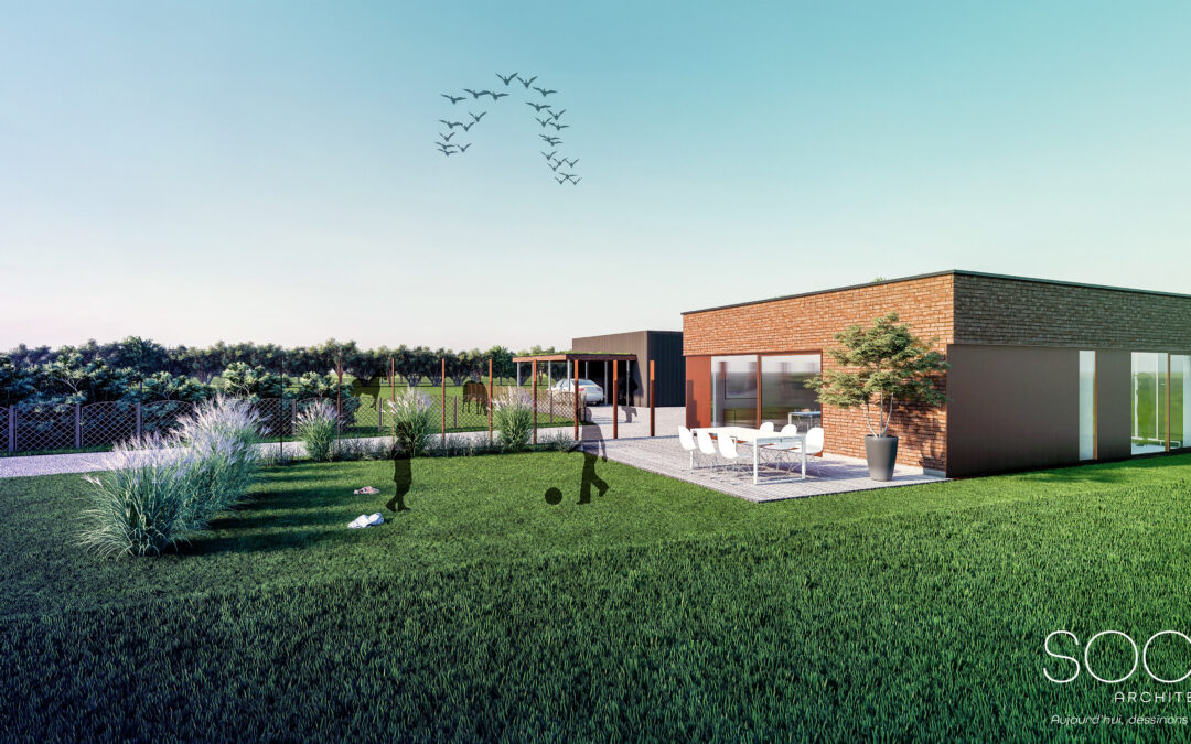 DESHABILLAGE INTEGRAL